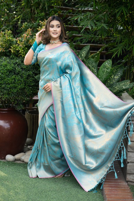 Pastel Blue Soft Silk Kanchipuram Saree...