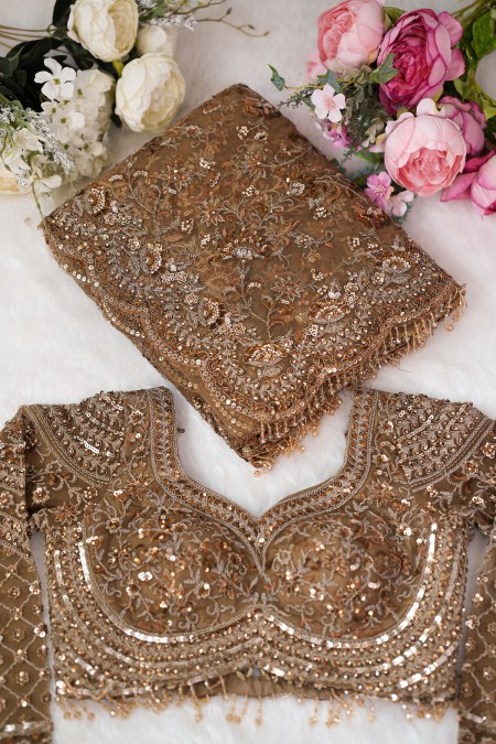Copper Golden Net Premium Party Saree On...